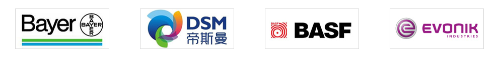 Fortune 500 company partners